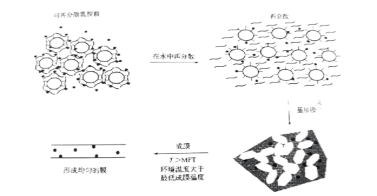 可再分散性乳胶粉（RDP）